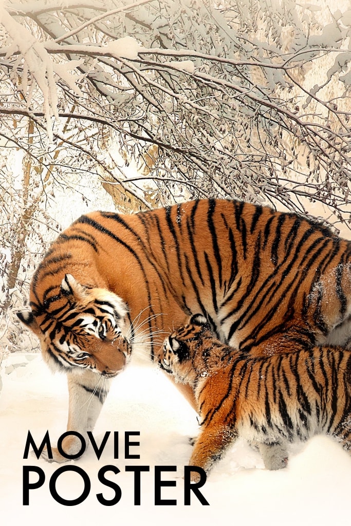 The Hobbit: The Desolation of Smaug